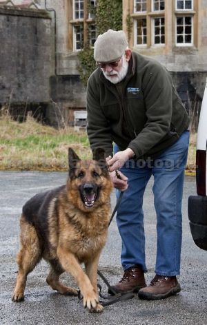 one man and his dog denbigh 1 sm.jpg